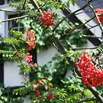 Malerwinkel Hotel Bergisch Gladbach
