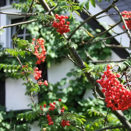 Malerwinkel מלון ברגיש גלאדבך