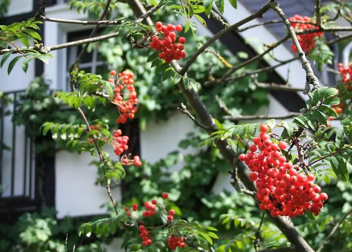 Malerwinkel Hotel Bergisch Gladbach